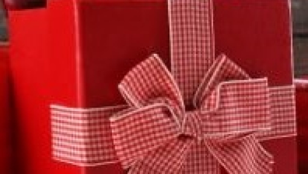 Bericht HR eindejaarsgeschenk (12-2022)